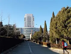 关于燕山鲸鲨队鏖战东海黑豹队，冲浪淘汰赛险胜，核心复出即建功。经验成为胜负手的信息